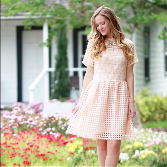 ELLIAT REVOLVE Soft Pink Lace Overlay Dress - Picture 15 of 15